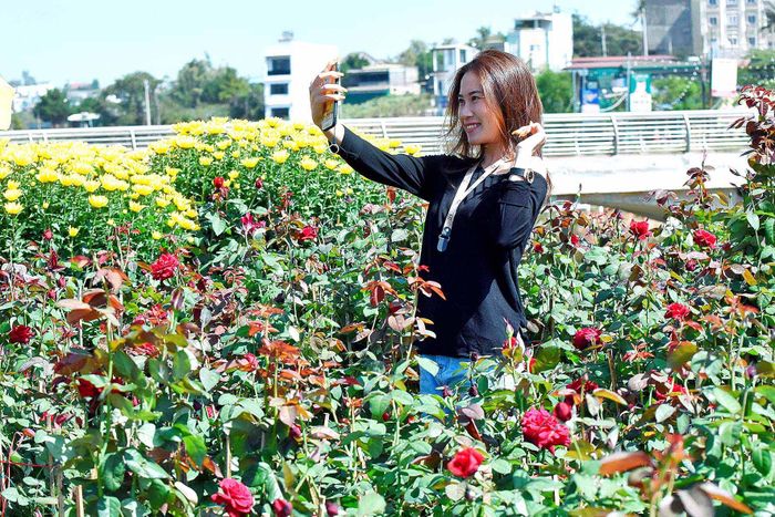 Chợ hoa Xuân luôn là tâm điểm thu hút du khách đến chiêm ngưỡng và chụp ảnh