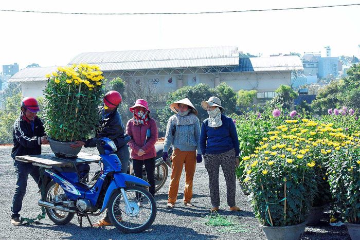 Chọn được một chậu hoa ưng ý cho ngày Tết là niềm vui của người đi chợ hoa, hy vọng những điều tốt lành cho năm mới sắp đến.