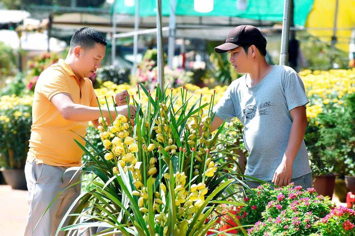 Sắc vàng của những chậu hoa làm cho đường phố thêm rực rỡ
