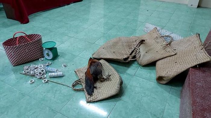 Tang vật bị cơ quan chức năng thu giữ. 