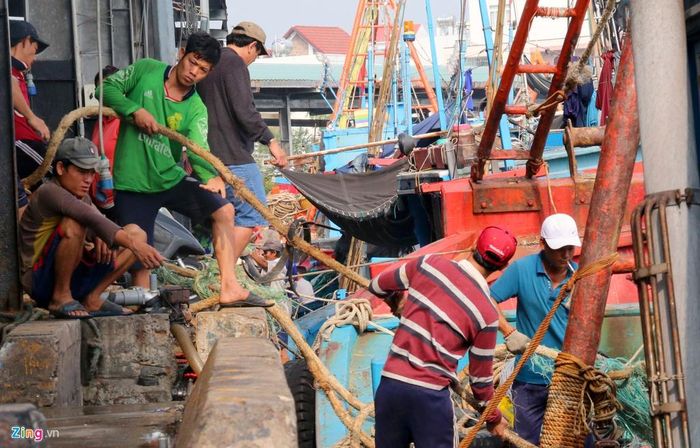  Theo các chủ tàu, nếu ra trúng luồng cá thì chỉ 10 ngày có thể vào bờ, ngược lại thì đi từ 15 đến 20 ngày, có khi cả tháng mới quay về, lúc này họ sẽ ăn Tết trên biển. "Ngư dân ăn Tết trên biển là chuyện bình thường. Trước khi xuất bến chúng tôi đã chuẩn bị đồ Tết từ thức ăn, bánh trái có đủ", một chủ tàu nói. 