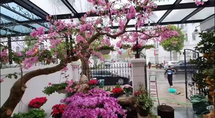  Nhà của Tuấn Hưng được trang trí để đón Tết. Ảnh: Chụp màn hình. 