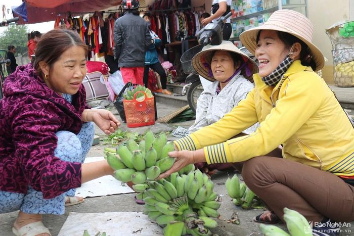 Ngày Tết, trên bàn thờ nhà nào cũng có mâm ngũ quả và chuối là thứ không thể thiếu. Ngày thường chuối ở chợ quê khá rẻ, nhưng ngày Tết cũng đắt. Chuối chín, chuối xanh đều được người dân mang đi chợ bán. Chuối ngự đẹp có giá từ 30 – 80 nghìn đồng/nải. Trong ảnh: Cảnh mua bán chuối ở chợ Cầu (xã Kim Liên, huyện Nam Đàn).