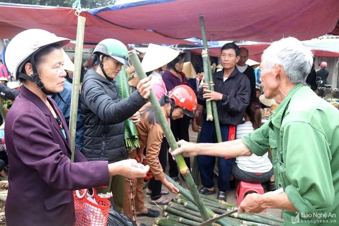 Đi cùng với hàng lá dong là hàng giang, nơi bán những cây giang rừng non để về chẻ ra làm dây gói bánh. Dùng lạt giang gói bánh Tết có nhiều ưu điểm hơn dây nhựa,,dây nilon.