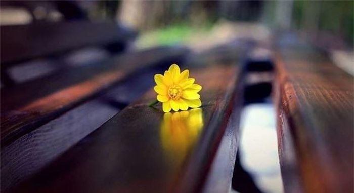 Hãy quan tâm tới cảm xúc của con. Ảnh minh họa .