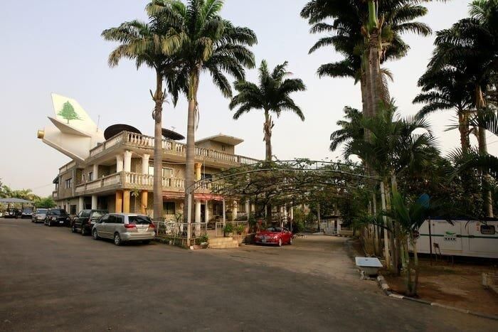 Một bên đuôi khác trang trí hình cây tuyết tùng.