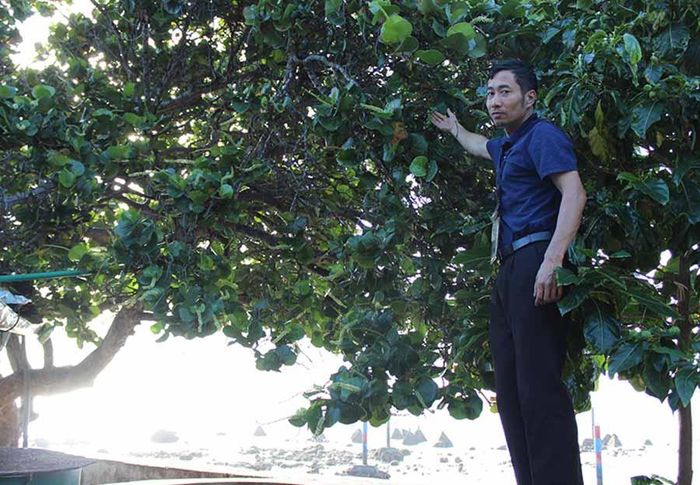 Hoa tra giống chùm hoa nho trên đất liền. Ảnh: N.D