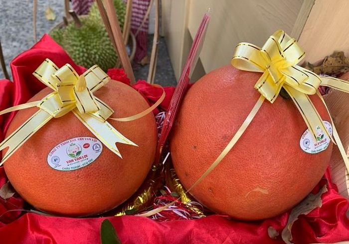 Bưởi da đỏ tiến Vua có giá từ 500 ngàn đến 1,2 triệu đồng/cặp tùy theo kích cỡ.