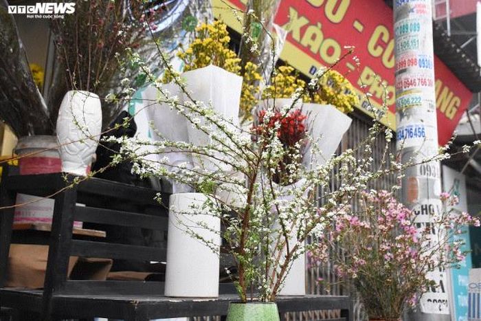 Theo khảo sát của PV, hoa tuyết mai trên thị trường có giá từ 190.000 đồng tới 250.000 đồng/bó (khoảng 6 đến 8 cành). Thời điểm cận tết, giá tuyết mai tại nhiều cửa hàng tăng mạnh lên 300.000 - 350.000 đồng/bó nhưng cung vẫn không đủ cầu.