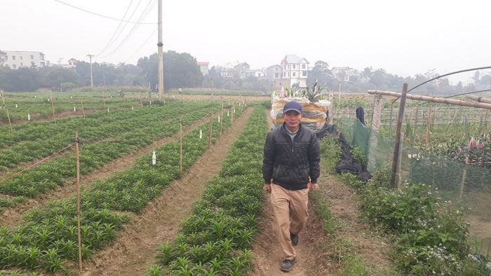 Chuyển hoa từ ruộng ra cho cho khách hàng
