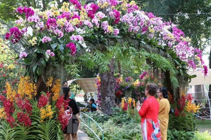 Bên trong hội hoa xuân là đủ các loài hoa được trang trí thành khung cảnh lãng mạn để người dân chiêm ngưỡng.