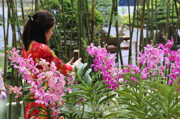 Những cô gái với tà áo dài thướt tha tạo giáng chụp hình 'tự sướng' bên hoa lan.