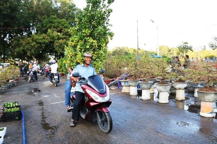 Tại những khu chợ hoa, cây cảnh không khí lại càng đông vui, nhộn nhịp bởi người bán, người mua và người đi chơi Tết. (Ảnh: Duy Quan).