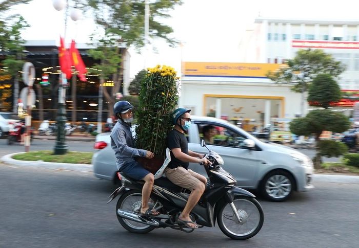 Cả nước đã vào xuân. Mùa xuân nơi phố Ninh Thuận nắng xuân trải vàng khắp nơi. Không gian như trong lành hơn, chiếc áo mùa xuân cũng thêm rực rỡ sắc màu. (Ảnh: Duy Quan).