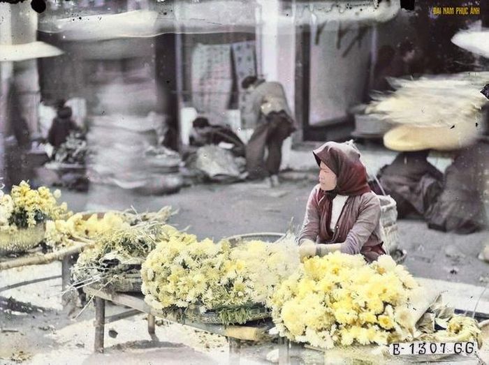  Hoa cúc được bày bán ở chợ ngày Tết. 