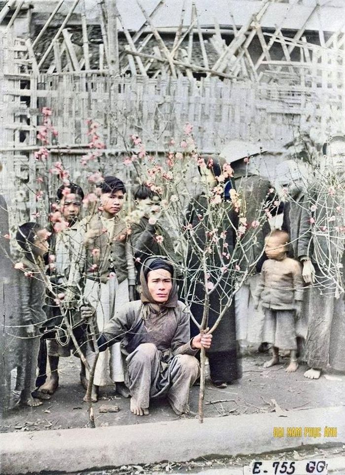  “Đại Nam phục ảnh” có nghĩa là phục chế ảnh của Đại Nam. Âu Minh cho hay ban đầu, bạn chỉ định phục chế những bức hình trong thời kỳ Đại Nam (triều Nguyễn). Sau khi thực hiện được một thời gian, Minh dần mở rộng ra khoảng thời gian cho tới khi trước 1975. Bởi vì sau năm 1975, hầu như ảnh chụp đã có ảnh màu. 