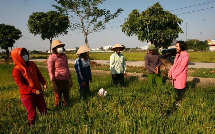 Sáu năm gắn bó với đất chị Thu đã thay đổi cả thói quen canh tác của bà con trong xã, cũng như khơi dậy tình yêu đất đai, đồng ruộng ẩn trong huyết quản của mỗi người nông dân.