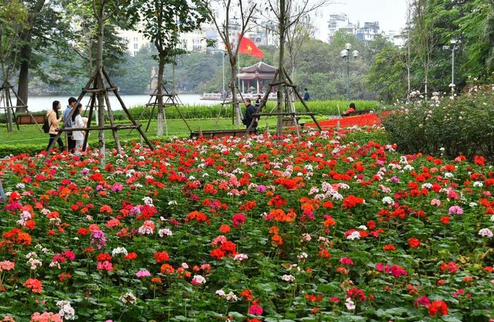 Nhiều thảm hoa được trang trí tại khu vực hồ Hoàn Kiếm và trên các phố như: Hoàng Văn Thụ, Đinh Tiên Hoàng, Trần Khát Chân...
