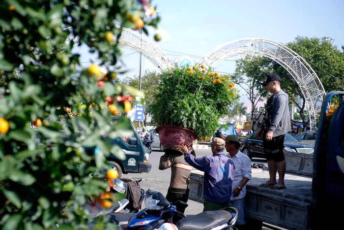 Công việc của họ là vận chuyển hoa từ các xe tải lớn vào bày bán ở chợ hoa hoặc chuyển các chậu hoa từ bãi ra xe tải nhỏ để chuyển đi bỏ mối ở các nơi. Tiền công trung bình cho mỗi lần vác là 15.000 đồng - 20.000 đồng/chậu.