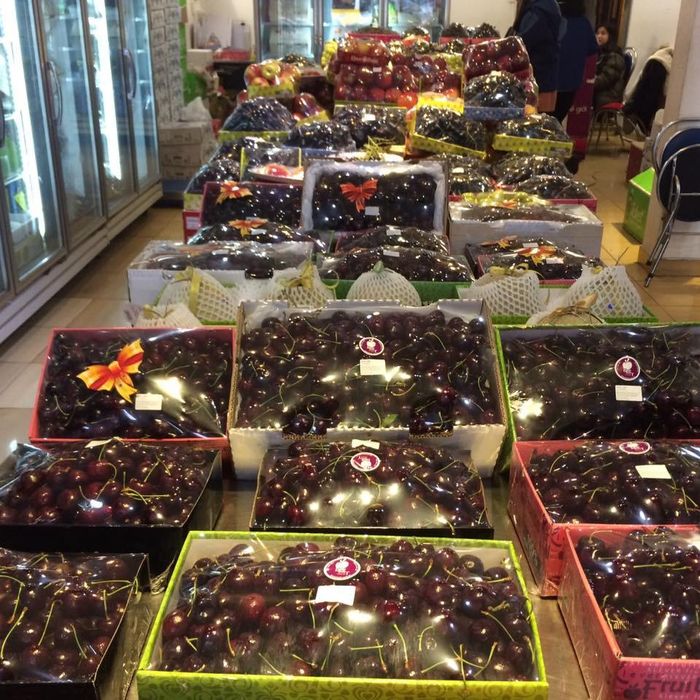 Cherry Mỹ có giá từ 500.000 đồng/kg được nhiều khách đặt mua