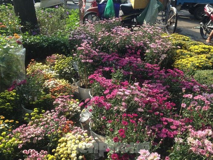 Một tiểu thương có 5 năm bán hoa tết chia sẻ: "Tình trạng chờ đến cuối ngày mới mua hoa năm nào cũng diễn ra. Năm nay tôi đã đăng ký với các điểm kinh doanh hoa cảnh, bán không hết sẽ chở đến họ và lấy giá sỉ, bằng giá vốn. Tôi đã chủ động hạ giá từ sớm nhưng nếu khách vẫn kiên quyết chờ đến giờ G để giá xuống hơn nữa thì mình quyết không giảm thêm".