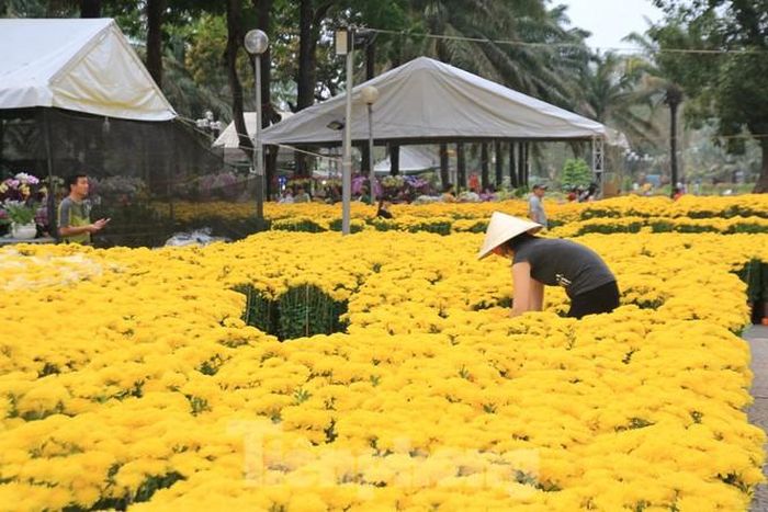 Trưa 29 tết, tại nhiều chợ hoa như công viên 23/9, công viên Gia Định, các điểm kinh doanh hoa nhỏ lẻ trên đường Phạm Văn Đồng, Ngô Gia Tự, Hồ Học Lãm... hoa tết vẫn còn tràn ngập.