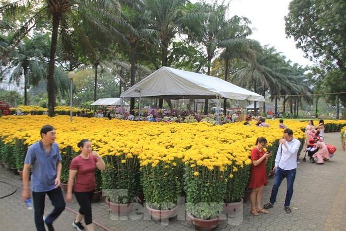 Khách hàng đến chợ mua hoa tết vẫn còn rất ít.