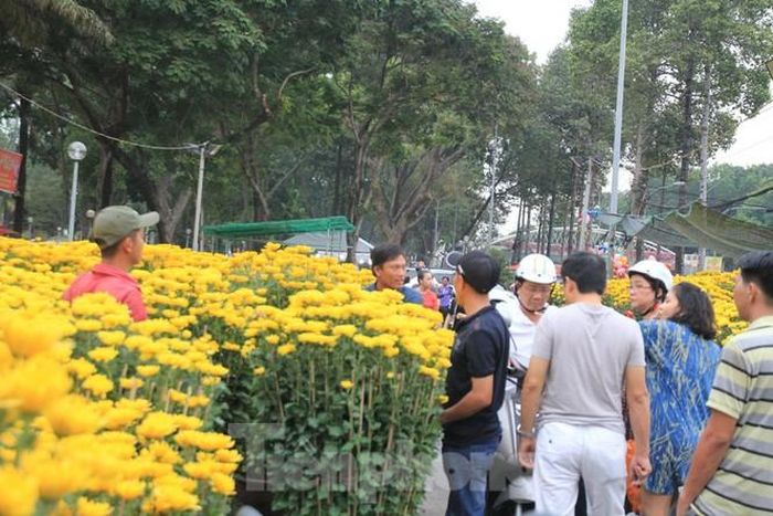 Với các loại hoa ngắn ngày, đa số tiểu thương đều sẽ giảm giá để đẩy hết hàng trước trưa 30 tết, nếu không muốn bị ép rác.