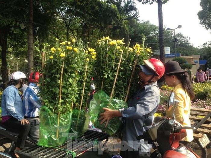 Trưa 29 tết, giá các loại hoa đã giảm hơn khá nhiều, cúc 150.000-170.000 đồng/cặp, mãn đình hồng 120.000-140.000 đồng/cặp, hướng dương 75.000 đồng/chậu; các loại mồng gà, vạn thọ, sao nhái từ 50.000-80.000 đồng/chậu...