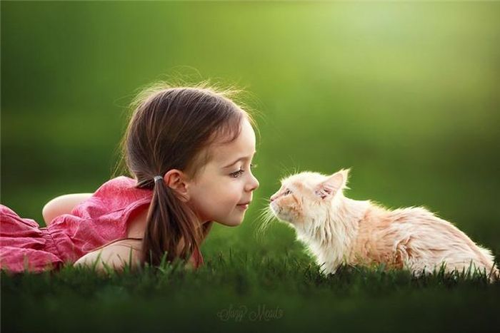  Hai cặp mắt hồn nhiên nhìn nhau trông vô cùng đáng yêu. 