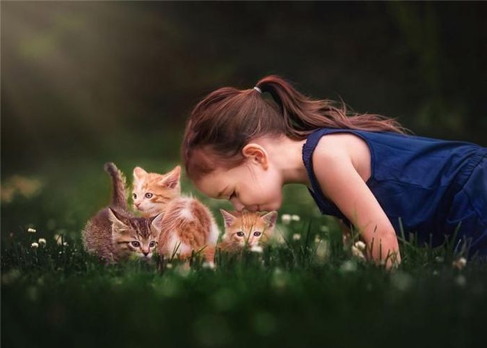  Bé gái chơi đùa với những chú mèo xinh xắn trên thảm cỏ xanh mướt. 