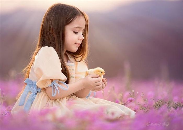  Công chúa nhỏ nâng niu gà con mới nở trên tay của mình. 
