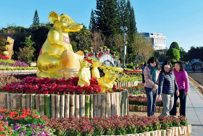 Đoạn đường hoa dài khoảng 500m đường Trần Hưng Đạo, TP.Pleiku lúc nào cũng đông vui