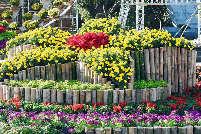 Hàng nghìn bông hoa khoe sắc trên đường hoa được trang trí bắt mắt, sinh động