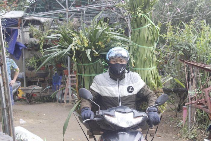 Về đón tết đoàn viên bên gia đình.
