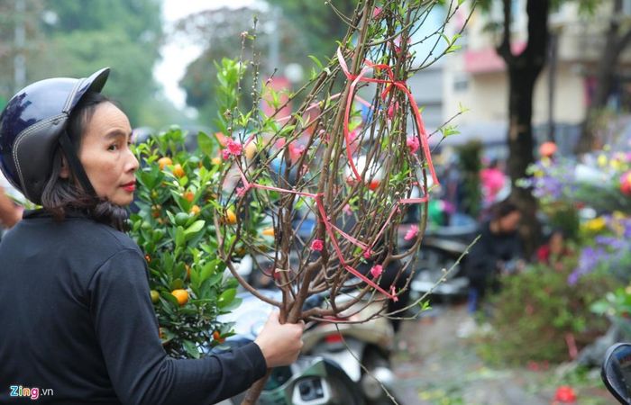  Trong khi đó, nhiều người vẫn tranh thủ trước thềm năm mới để sắm sửa cho gia đình. Chị Lan (Ngọc Thụy) mua đào và quất tại chợ Gia Lâm với giá 150.000 đồng và 250.000 đồng: "Ngày cuối rồi tôi mới đi mua được, giá cả cũng phải chăng, không quá đắt đỏ". 
