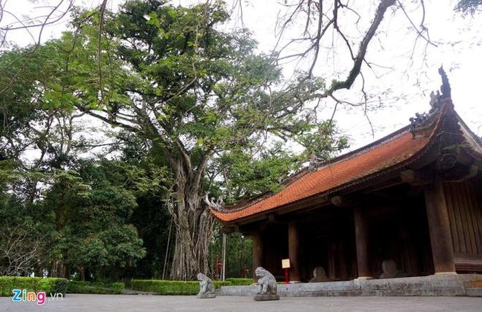  Tuy nhiên, theo thời gian, nhiều người có phần hiểu sai về nét văn hóa hái lộc đầu năm. Không ít người cho rằng hái lộc cành càng to, càng lớn sẽ càng mang lại nhiều may mắn, lộc lá cho gia đình. Điều này vô tình gây phá hoại môi trường, cảnh quan, nhất là tại các chùa chiền có đông người đến hái lộc. Tuy nhiên, các chuyên gia khuyên mọi người chỉ cần hái một cành lộc nhỏ đã đủ mang lại ý nghĩa, may mắn. Ảnh: Nguyễn Dương. 