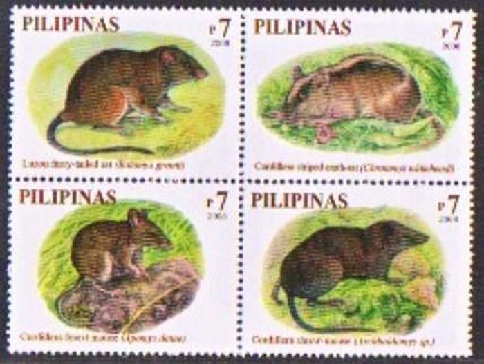 Bộ tem các loài chuột của Philippines.