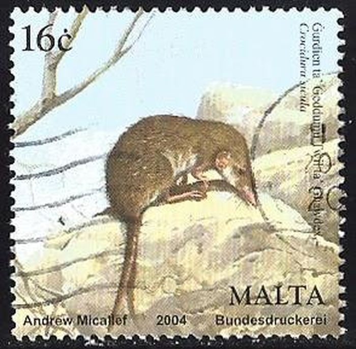 Hình ảnh chuột trên tem phát hành tại Malta năm 2004.