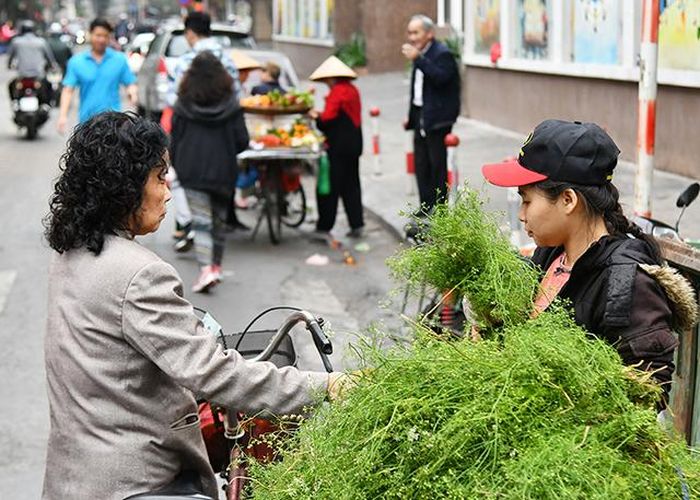 Các bà, các mẹ tìm mua những bó mùi già cho gia đình. Theo quan niệm của người xưa, việc tắm lá mùi già vào ngày cuối năm sẽ xua tan những chuyện không vui, những vướng bận trong năm, từ đó sẵn sàng đón nhận niềm vui trong năm mới.