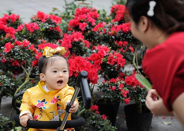 Một em nhỏ thích thú khi được bố mẹ đưa đi chợ hoa Tết.