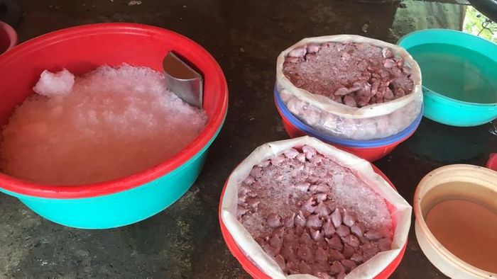Chuột đồng làm sạch “phủ sóng” khắp cả nước từ Nam chí Bắc và dễ dàng chế biến thành những món ăn đặc sản