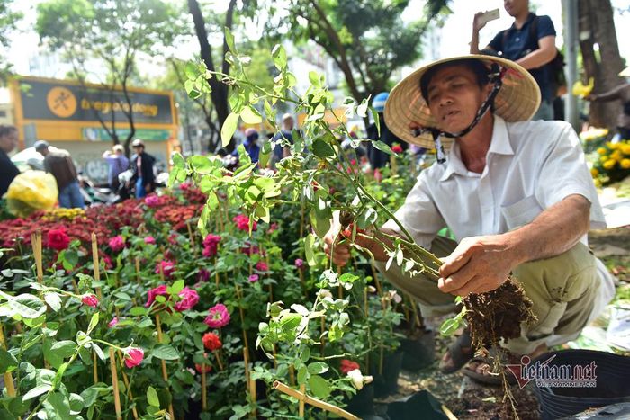Tiểu thương cho biết hoa bán không hết phải đập bỏ hoặc đưa vào nhà chùa, nhất quyết không bán giá thấp