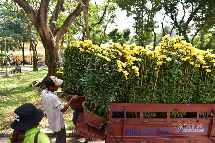 Tiểu thương tranh thủ đem hoa đến nơi khác bán