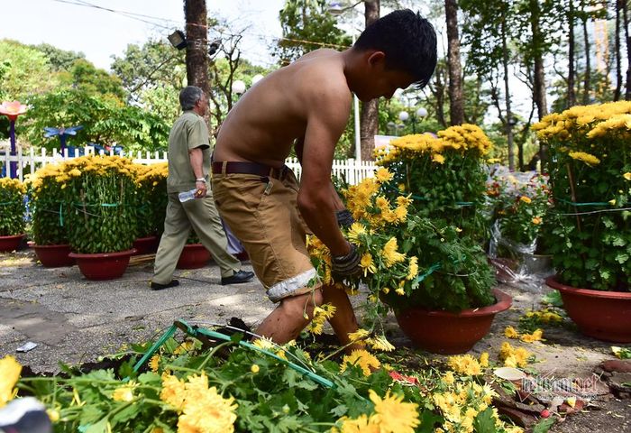 Điệp khúc đập bỏ hoa lặp lại tại công viên này khi các tiểu thương nhất quyết không bán rẻ hoa cho người mua vì chán ngán cảnh chờ mua hoa giá rẻ
