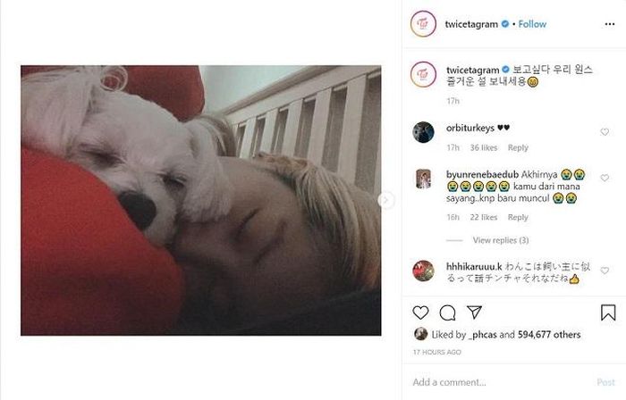 Dahyun cùng chú cún Ari: “Tôi nhớ các bạn, ONCE. Chúc mừng năm mới” 