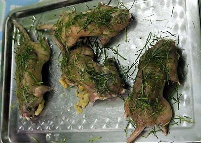 Dùng một cái thớt khác, lèn chặt cho chuột chảy bớt nước mỡ. Để như thế vài giờ rồi tách thớt, lấy chuột chặt nhỏ, rắc lá chanh lên trên. Món này khi ăn kèm muối tiêu chanh, thịt thơm, ngọt, dai chắc như thịt gà.