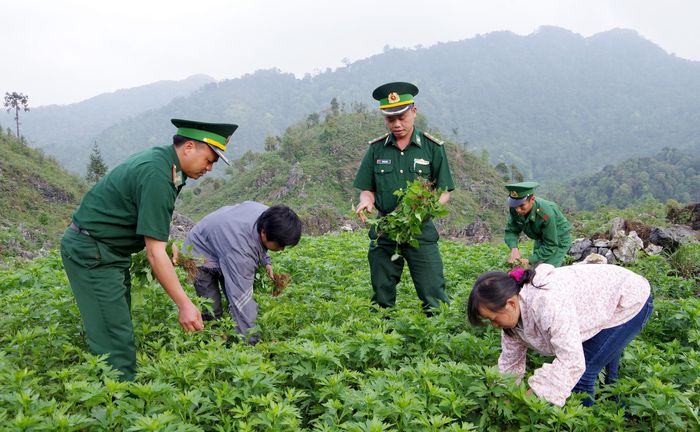 Cán bộ, chiến sĩ BĐBP Hà Giang hướng dẫn người dân khu vực biên giới chăm sóc cây trồng. Ảnh: Bình Minh