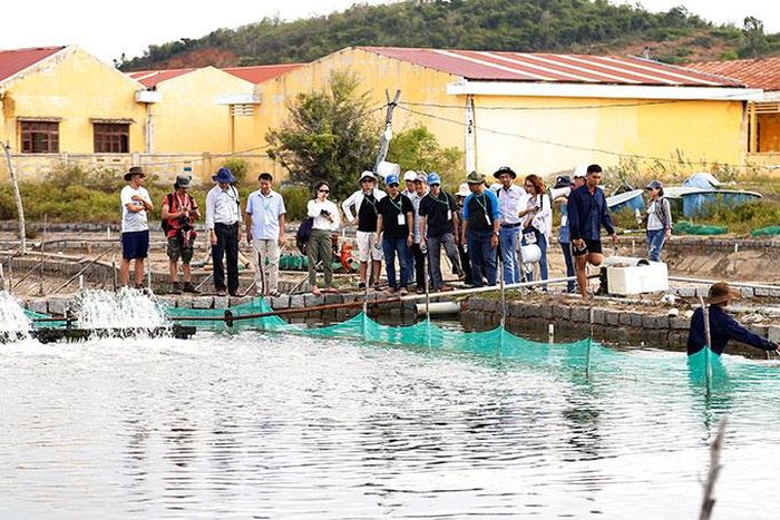 Các nhà khoa học trong và ngoài nước đến tìm hiểu thực tế mô hình nuôi hải sâm thương phẩm của Tiến sĩ Duy.