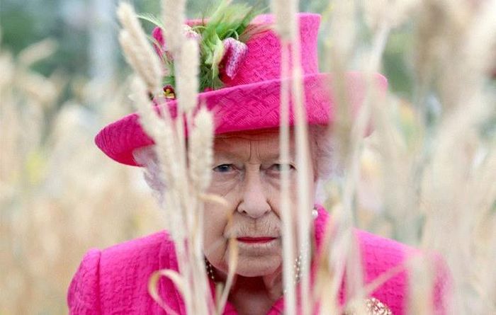 Nữ hoàng Elizabeth II đến thăm công viên của Viện thực vật nông nghiệp quốc gia ở Cambridge, ngày 9/7/2019. (Ảnh: PA)